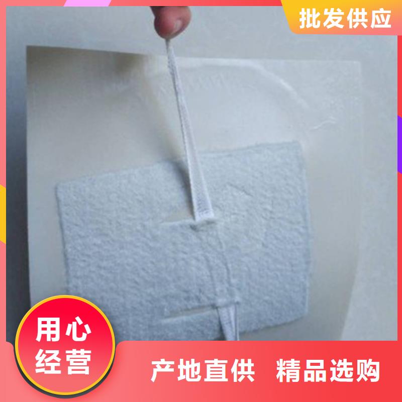 EVA防水板单向塑料土工格栅源头厂家直销