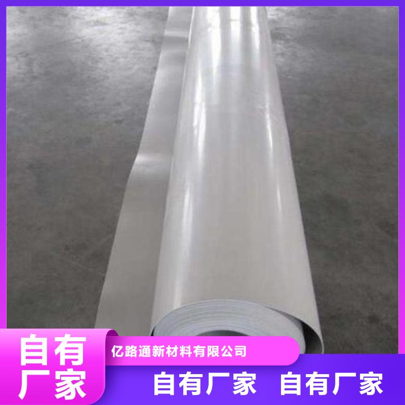 EVA防水板聚丙烯双拉土工格栅生产安装