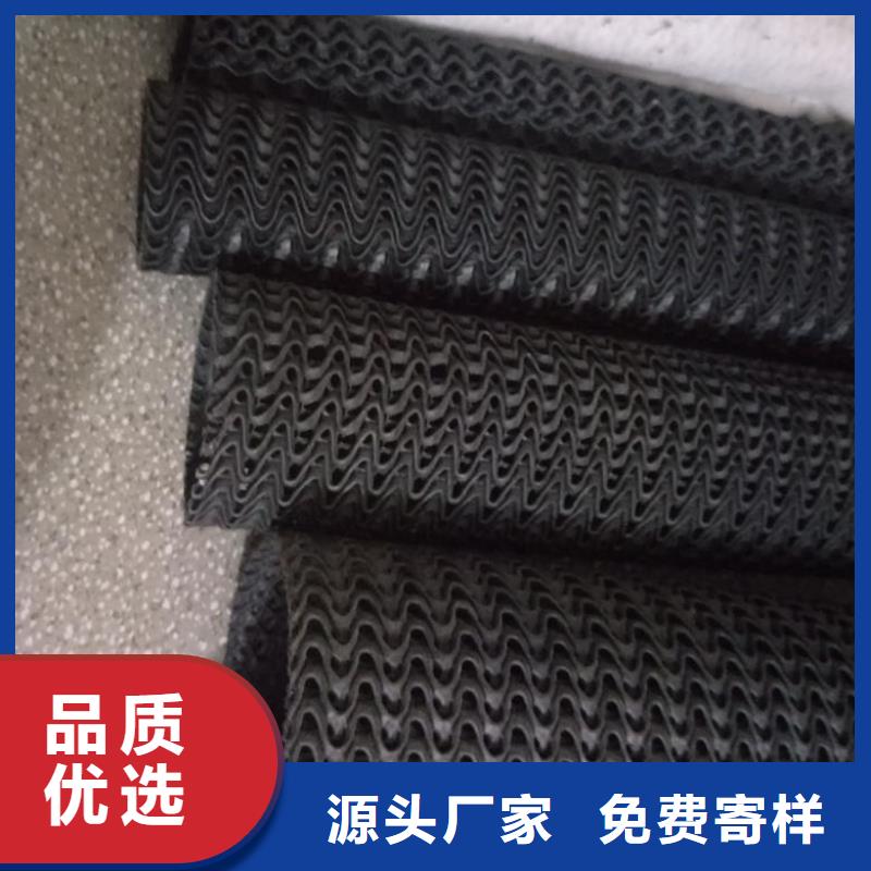 EVA防水板护坡土工网满足多种行业需求