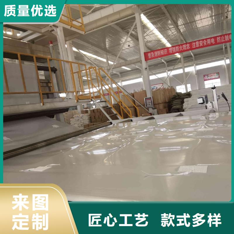 EVA防水板-钢塑土工格栅厂家规格型号全