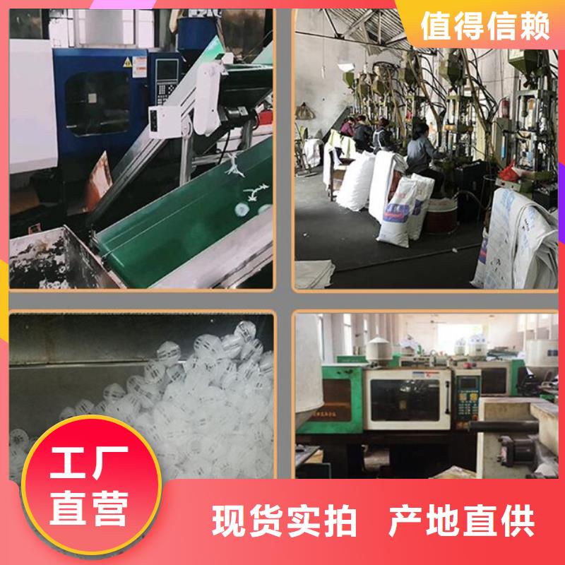 多面空心球_粘土陶粒48小时发货