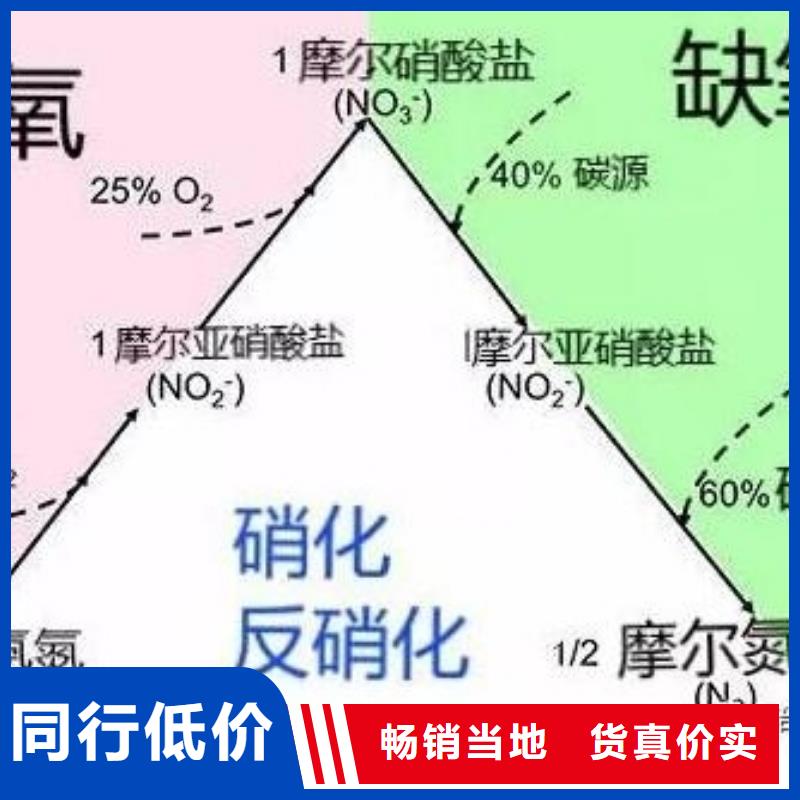 碳源-活山岩定制速度快工期短