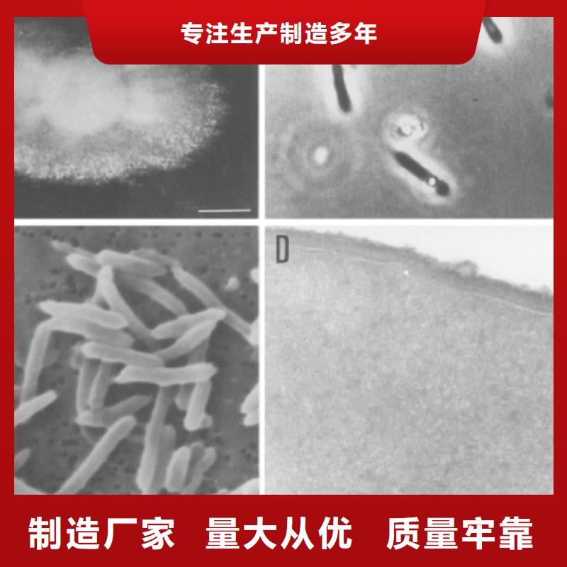 碳源-泡沫滤珠专业的生产厂家