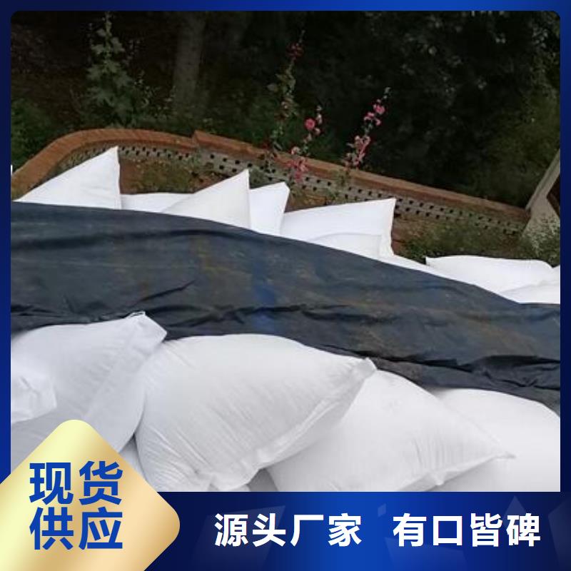 泡沫滤珠果壳活性炭为您精心挑选