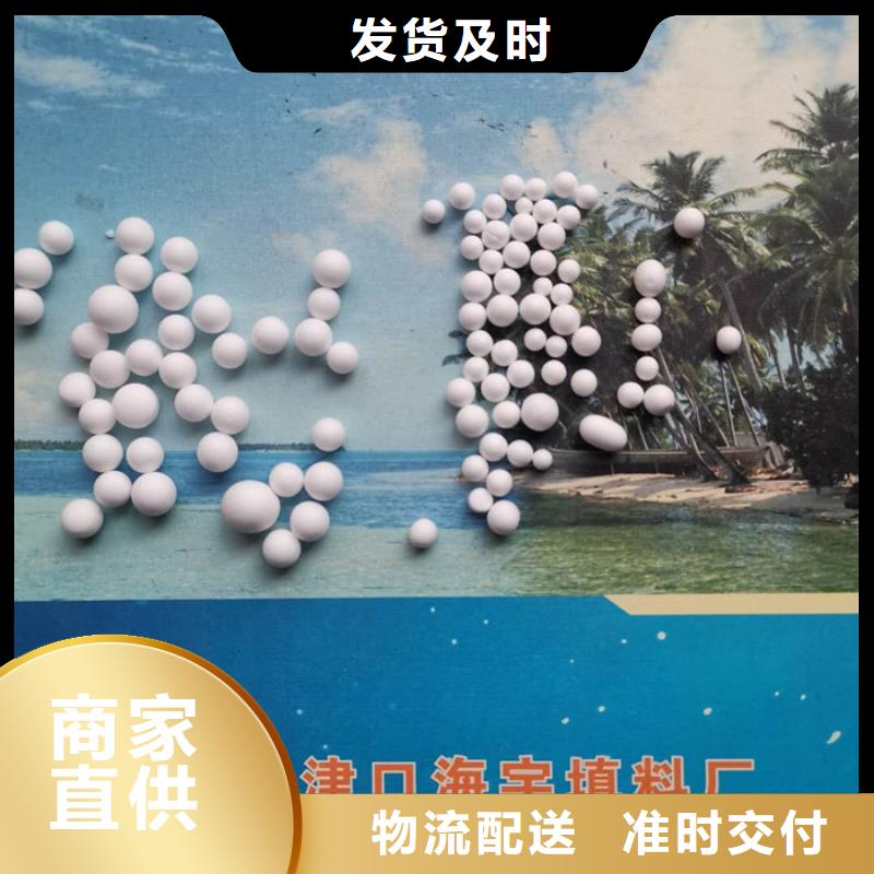 泡沫滤料鲍尔环一站式供应厂家