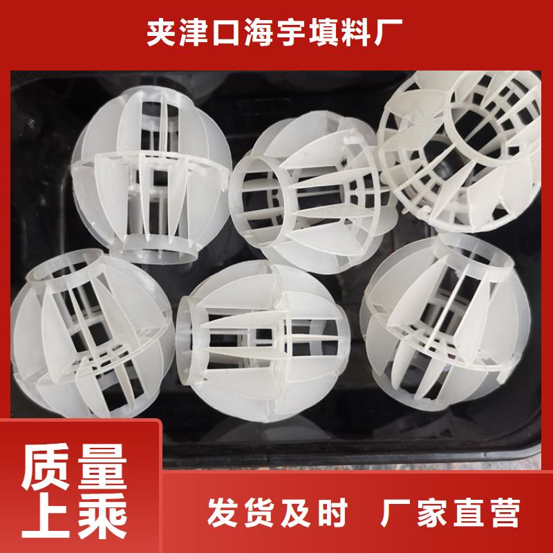 空心球,鲍尔环今日价格