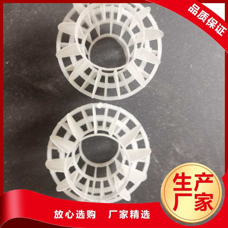 空心球蜂窝斜管今日价格