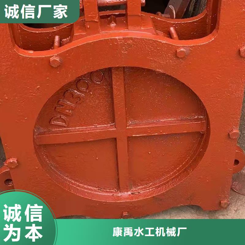 暗杆式铸铁闸门厂家现货直发