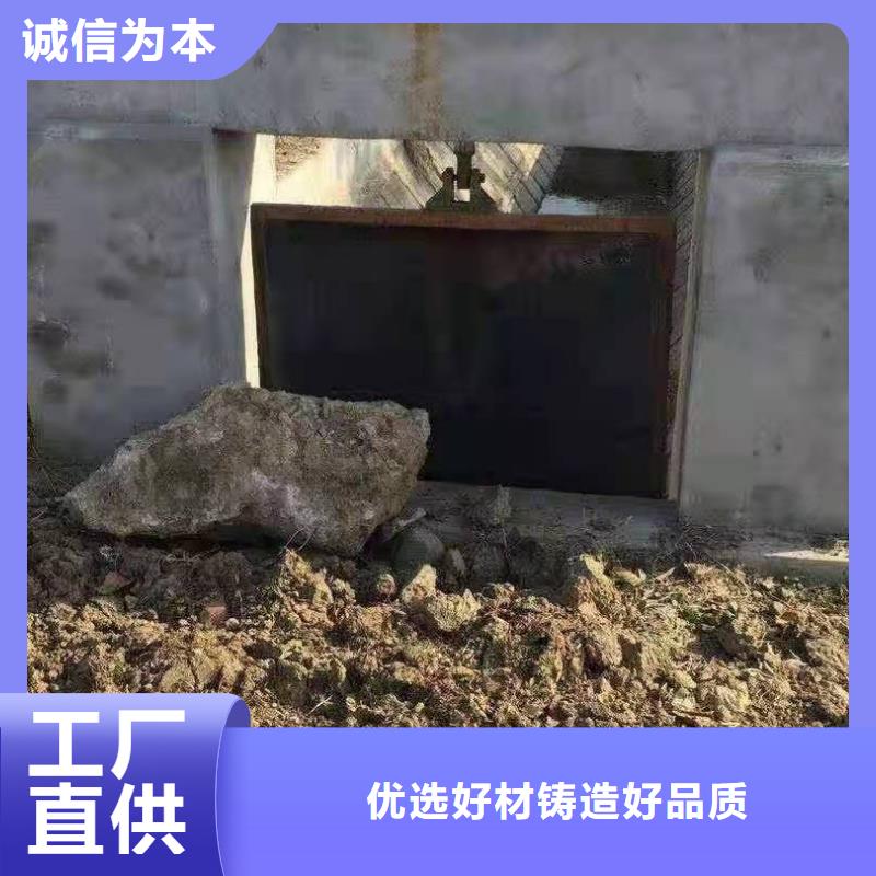 复合闸门免费提供咨询