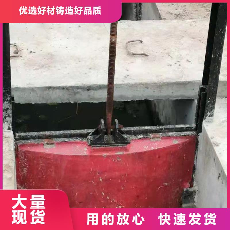 双向止水闸门免费提供咨询