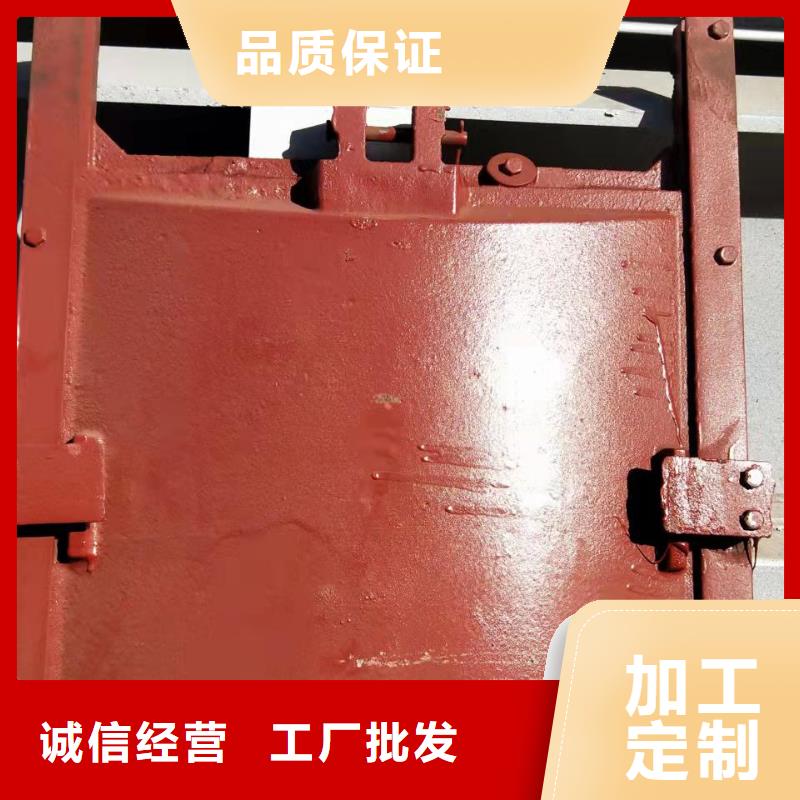铸铁闸门【启闭机闸门】实体厂家支持定制