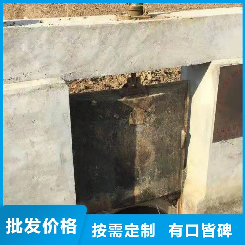 双向止水闸门厂家图片