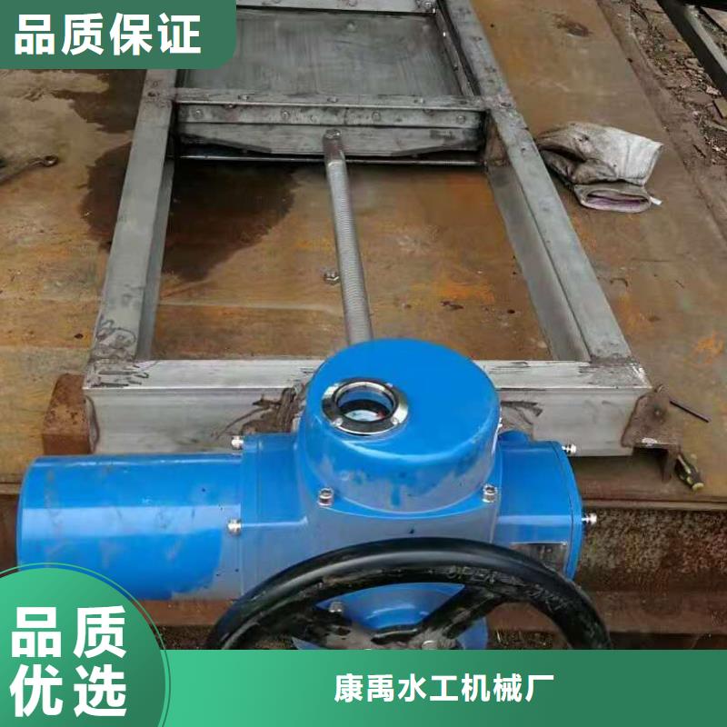 专注生产N年【质量上乘 钢闸门,拍门厂家质量牢靠】-v651.com