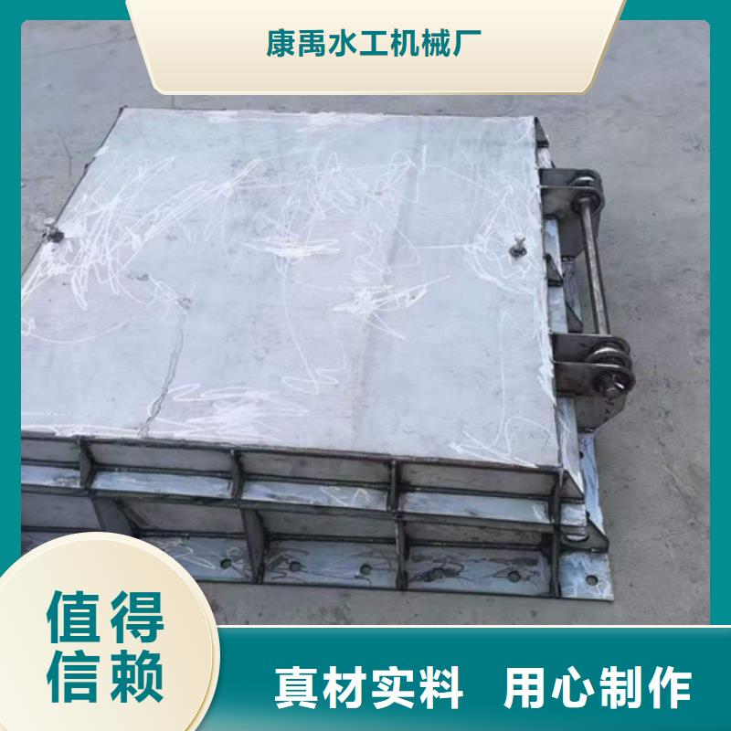 实拍品质保障 钢闸门,【平推启闭机】厂家品控严格当地供应商
