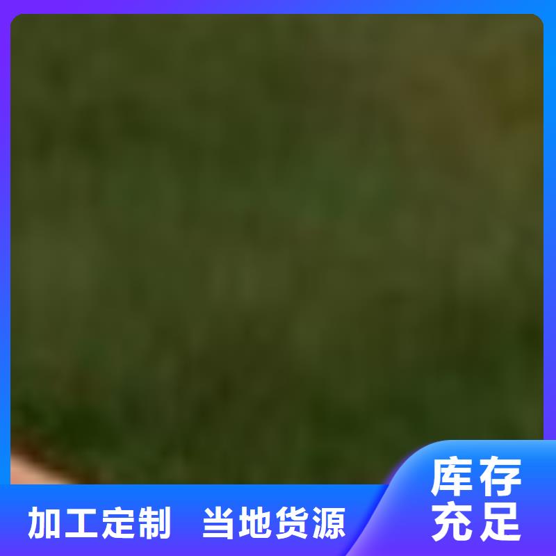 桥梁防撞护栏生产厂家_大量现货