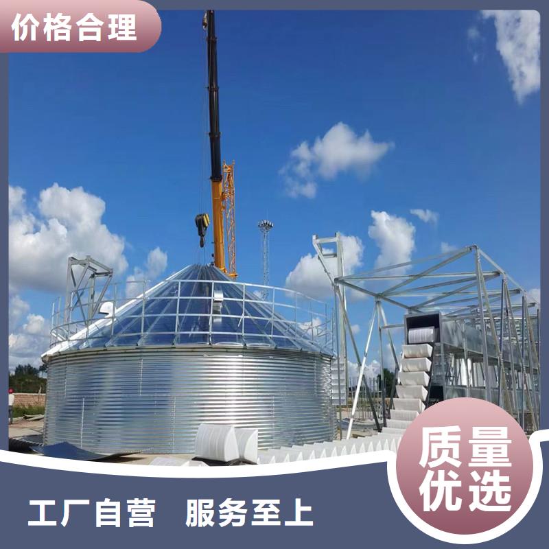 1000吨装配式粮仓粮食仓专业销售团队