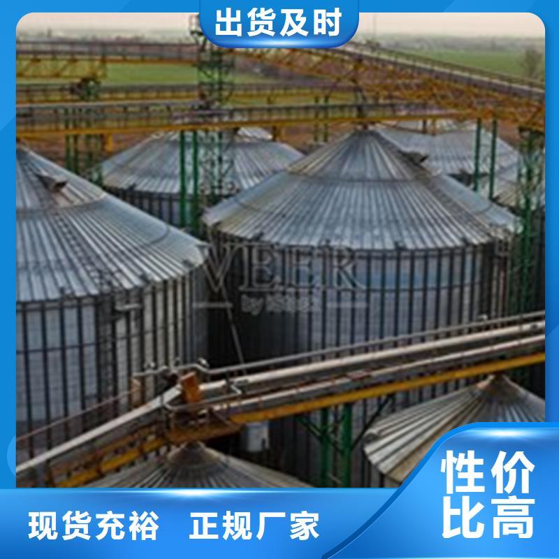稻谷装配式钢板仓-踏踏实实做产品