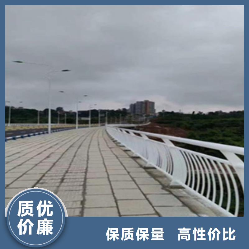护栏_机动车隔离护栏 细节决定成败