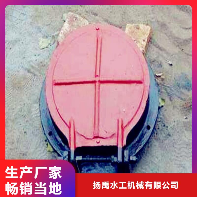  铸铁闸门用心做品质