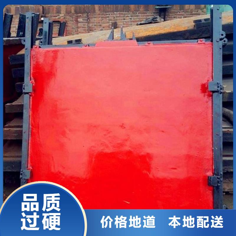 铸铁闸门品种全