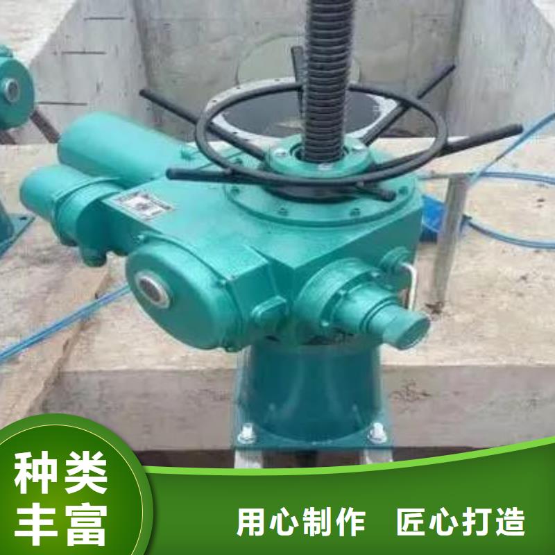 【螺杆启闭机】钢制拍门优选货源