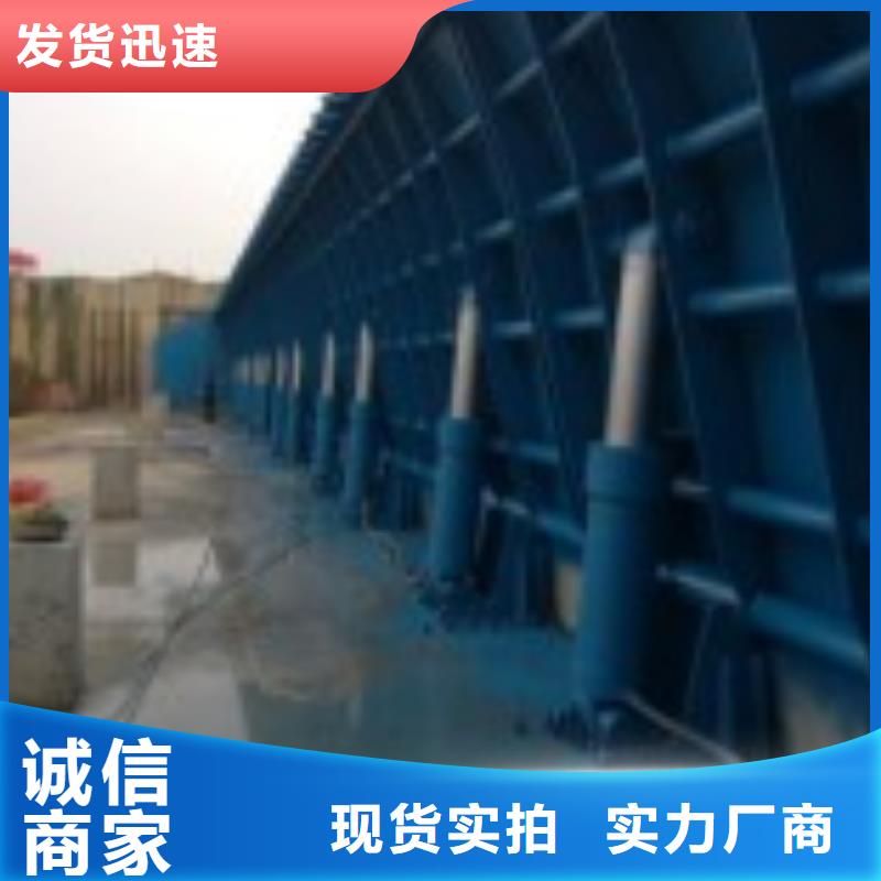 【翻板闸门】 钢制闸门销售的是诚信