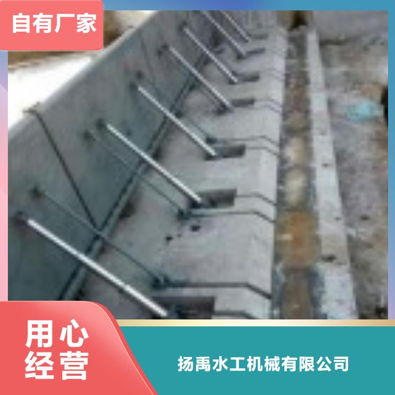 翻板闸门,卷扬启闭机实力厂家