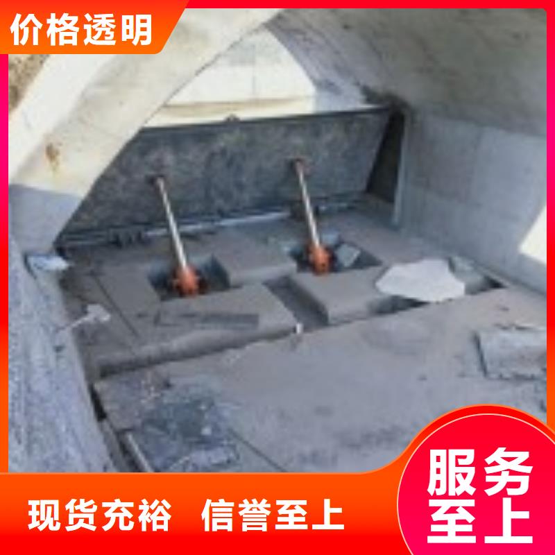 【翻板闸门】 启闭机来图定制