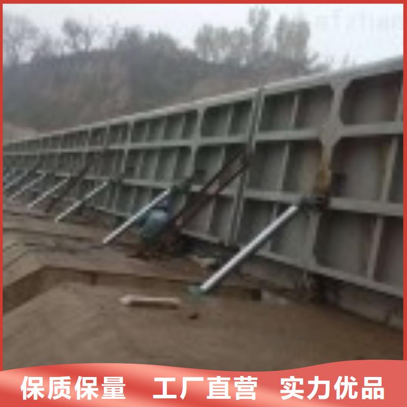 翻板闸门【手提铸铁闸门】供您所需