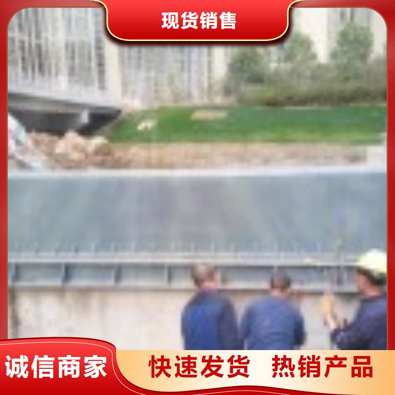 翻板闸门一站式采购方便省心