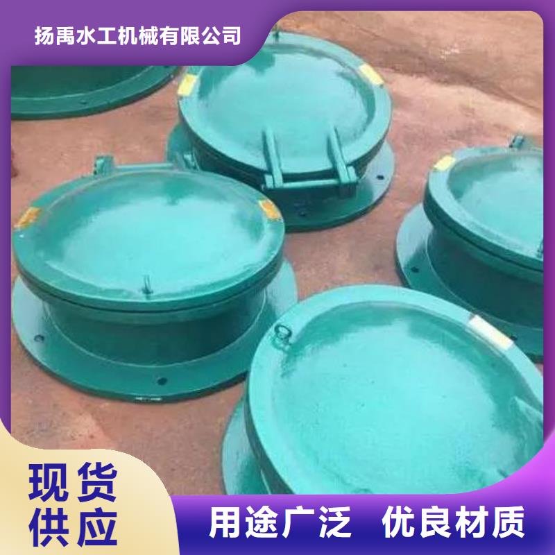 【拍门 钢制闸门定制定做】
