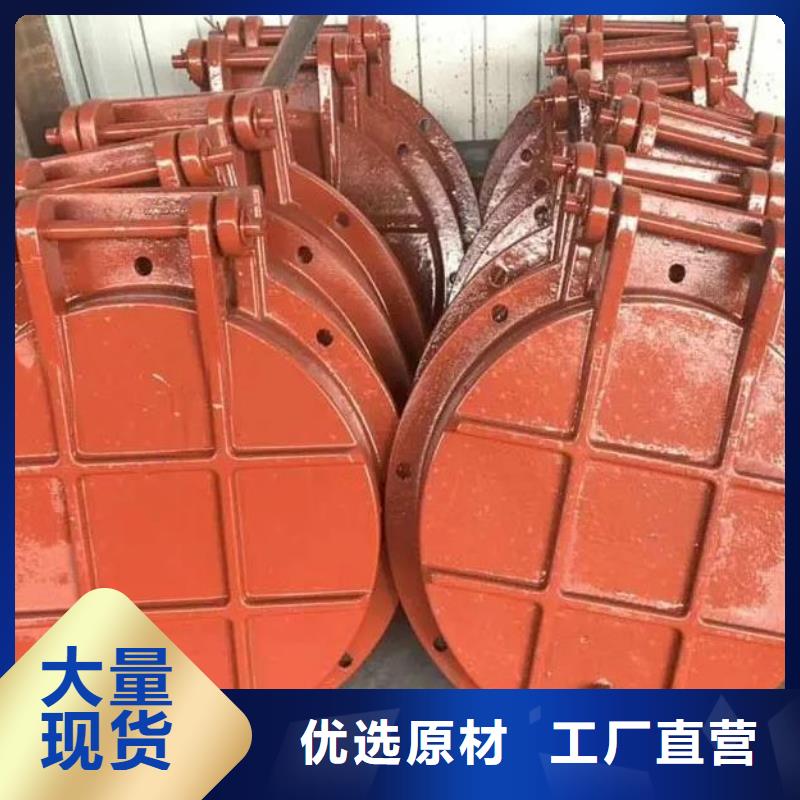 拍门铸铁闸门随到随提