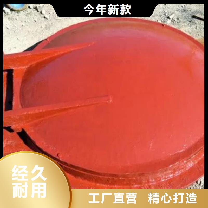拍门,钢制闸门助您降低采购成本