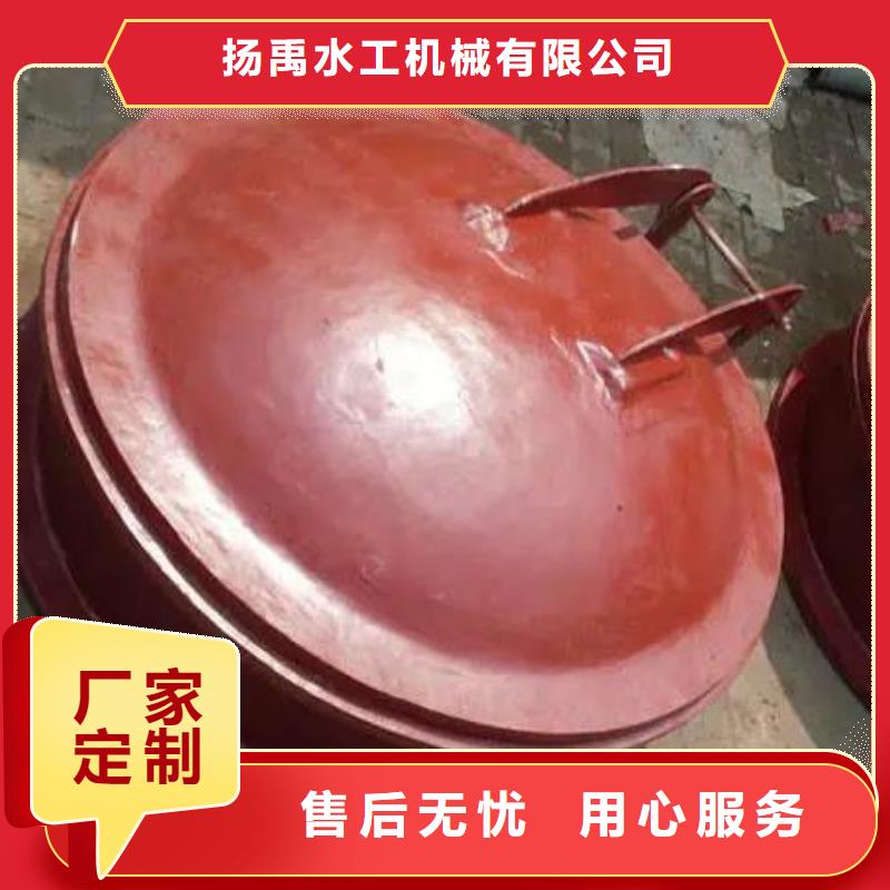 (扬禹)一站式供应厂家【拍门】-液压启闭机货品齐全-专业的生产厂家