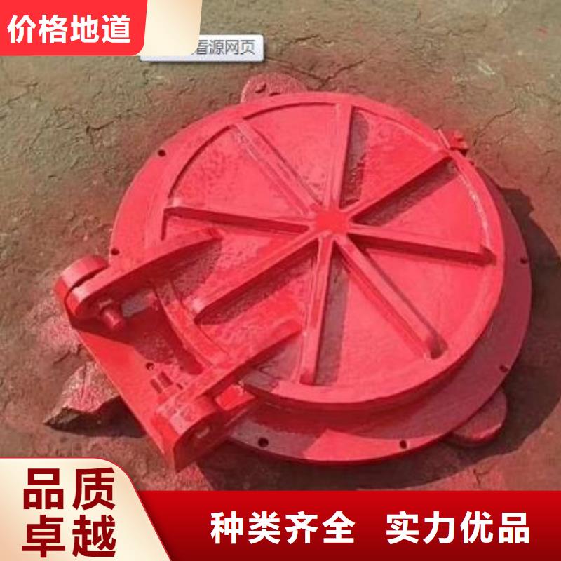 拍门电动装置启闭机购买的是放心