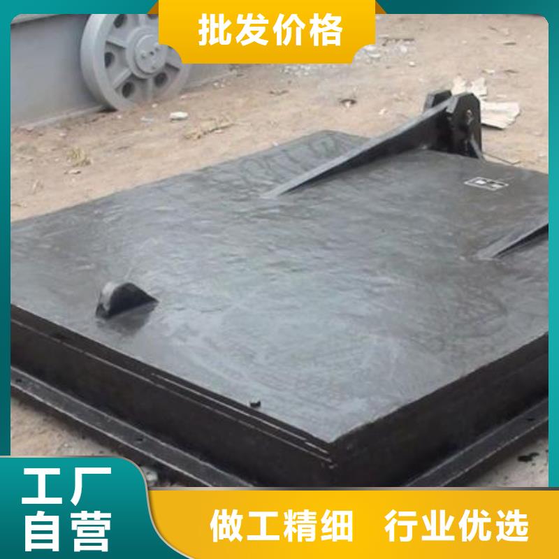 拍门,清污机厂家现货供应