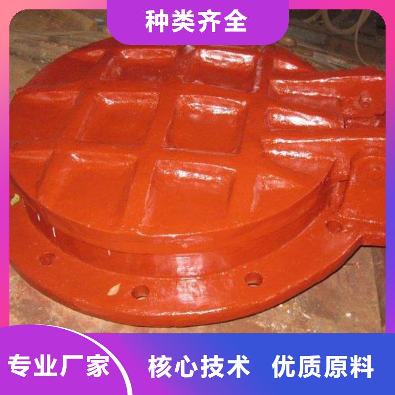 拍门钢制闸门源头工厂量大优惠
