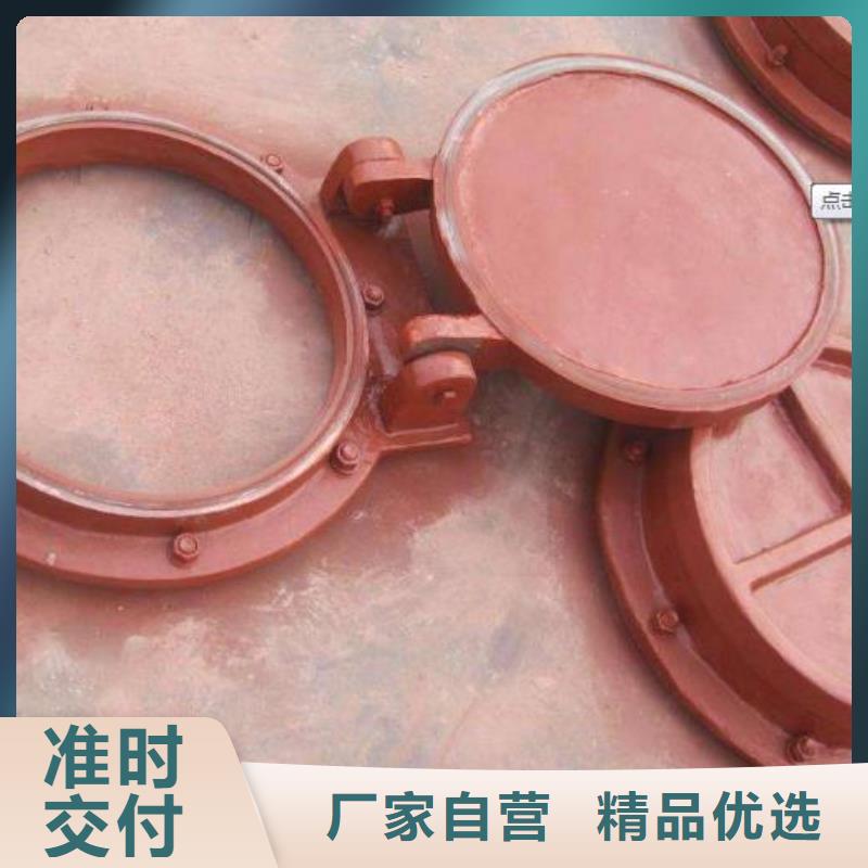 拍门玻璃钢拍门实力大厂家