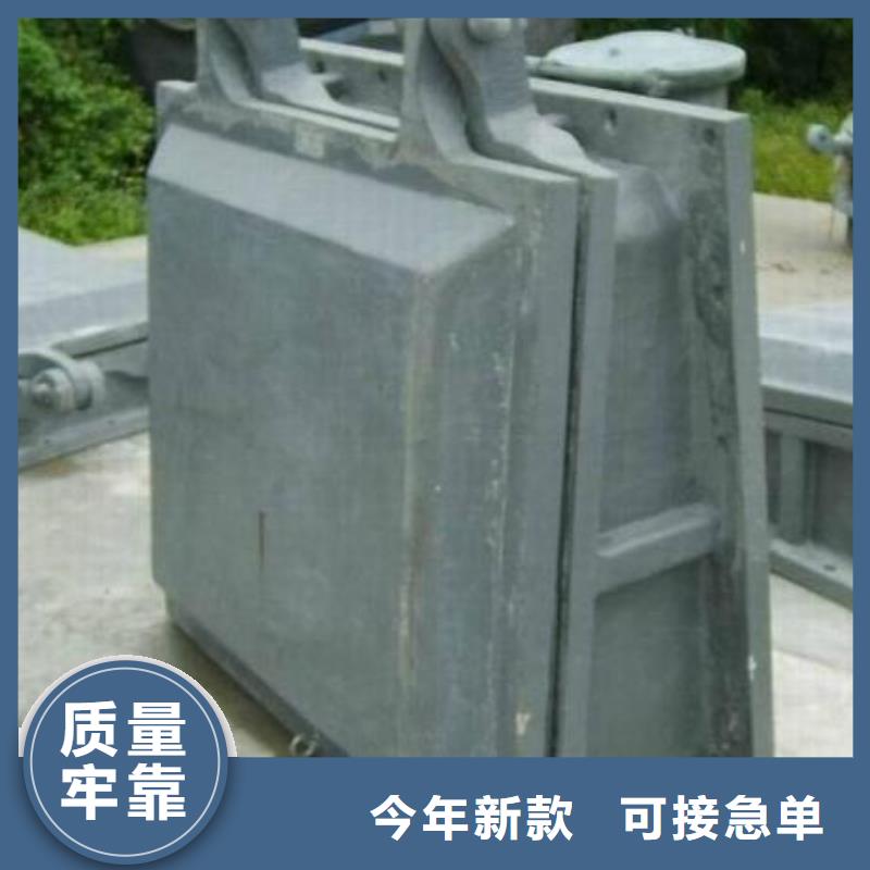 【拍门铸铁闸门一站式采购商家】