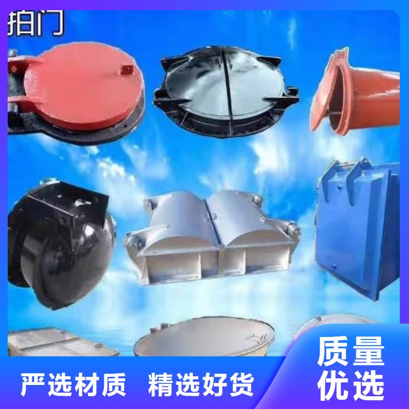 拍门钢制拍门源头直供