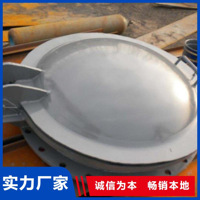 拍门,平板钢闸门您身边的厂家