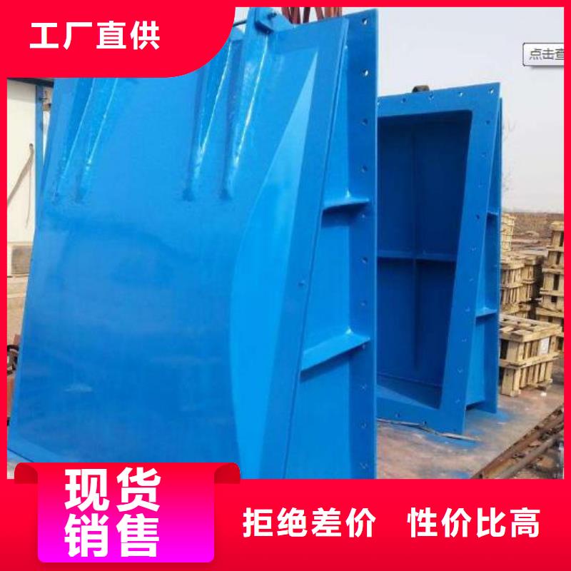 拍门厂家实力雄厚