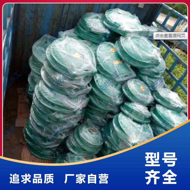 拍门电动装置启闭机匠心品质