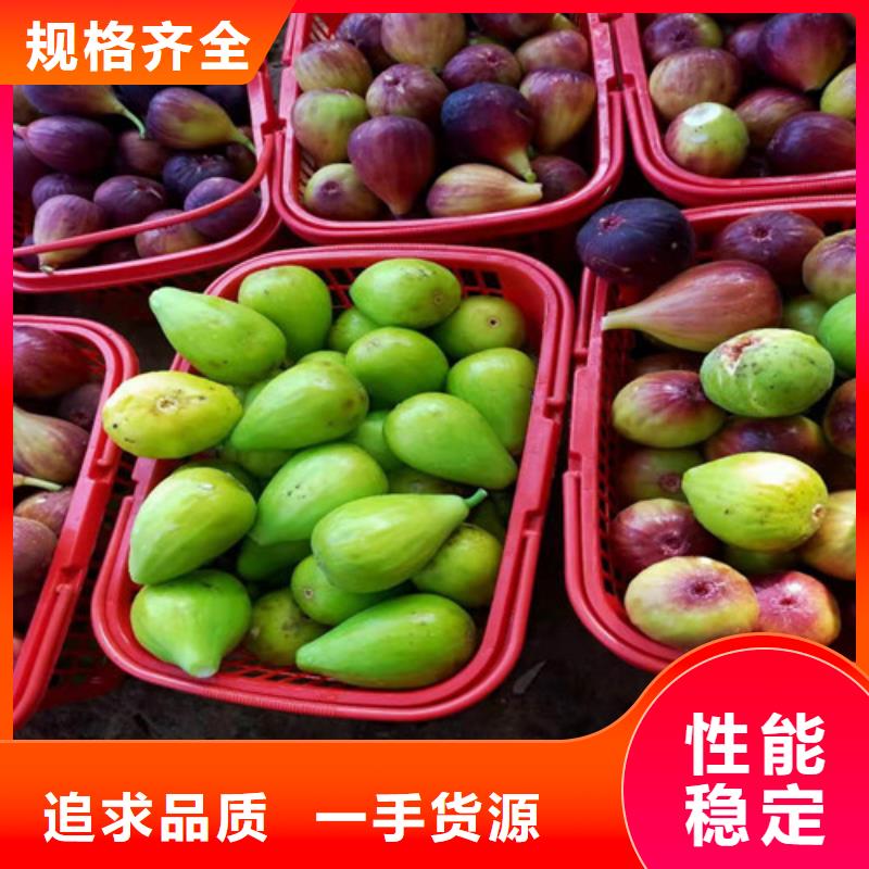 【国标检测放心购买 无花果_苹果苗厂家技术完善】-【兴业】,品质商家