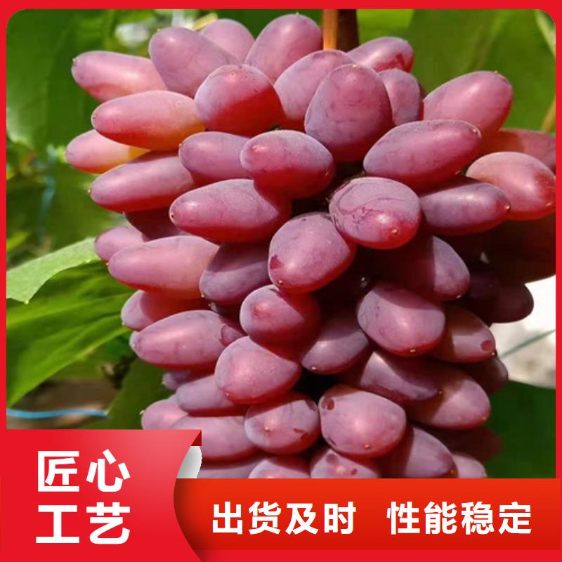 葡萄,花椒苗质量可靠
