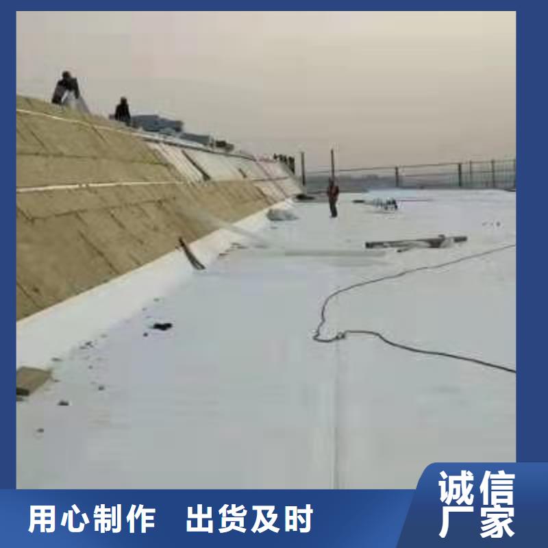 TPOPVC防水卷材免费询价