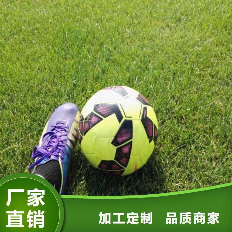 【塑胶跑道】塑胶跑道厂家当地货源
