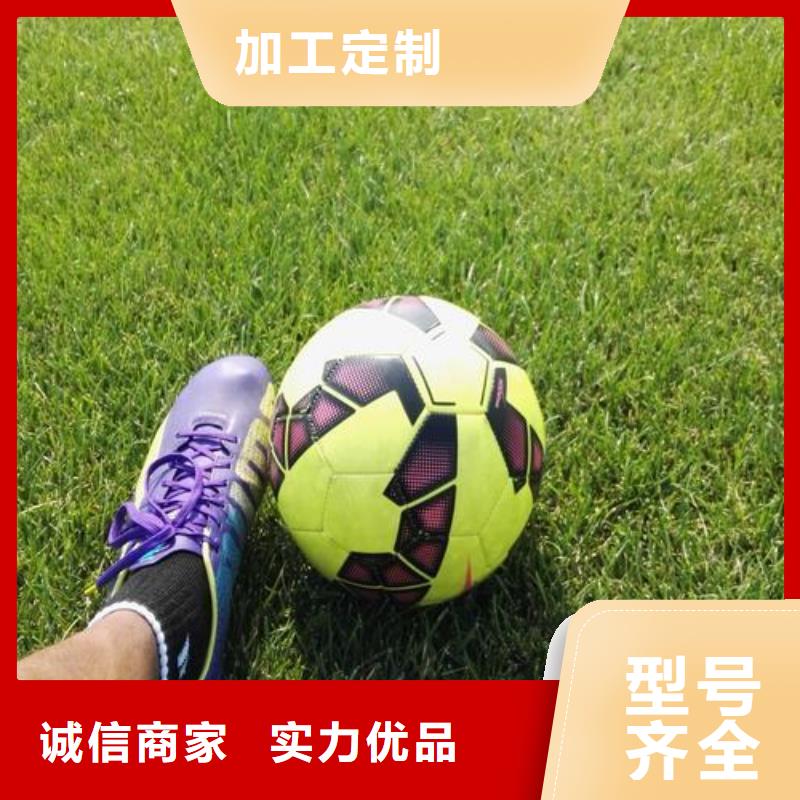 塑胶跑道体育馆塑胶跑道生产厂家