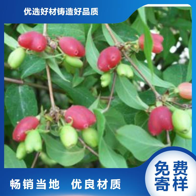 板栗苗-视频-板栗苗|日喀则市|康妈|萨嘎|昌都|山南|阿里|那曲|林芝