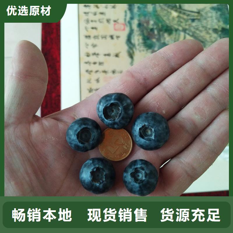 板栗苗-视频-浙江省板栗苗-浙江省丽水|杭州|温州|金华|台州【本土】供应商